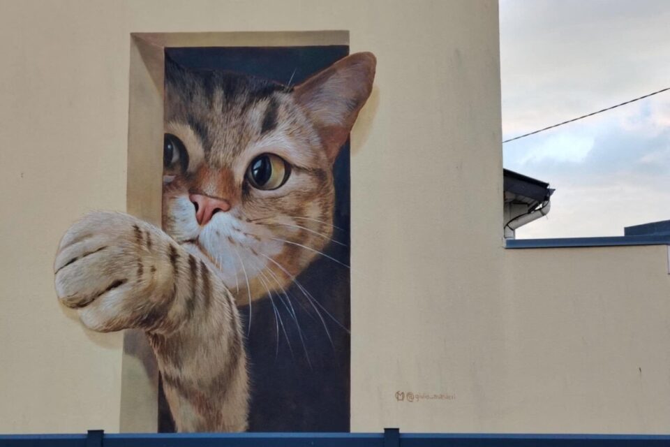 Quartier Sanvic, un chat géant observe les passants