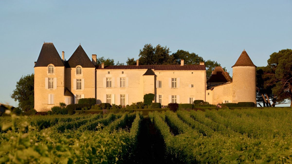 Vue sur le château d'Yquem dans le vignoble du Sauternes