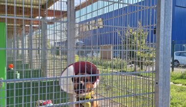 la SPA de Strasbourg dérangée par un "bruit strident" provenant d'IKEA