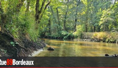LGV Bordeaux-Toulouse : la Commission locale de l'eau du Ciron émet un cinglant avis défavorable