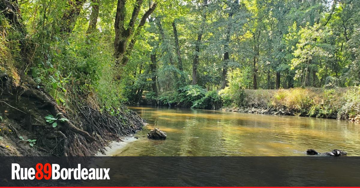 LGV Bordeaux-Toulouse : la Commission locale de l'eau du Ciron émet un cinglant avis défavorable