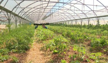 la Cité de l’agriculture de Marseille en liquidation judiciaire