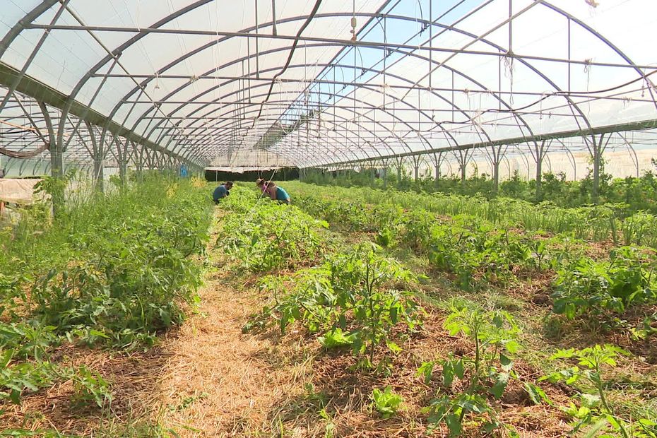 la Cité de l’agriculture de Marseille en liquidation judiciaire