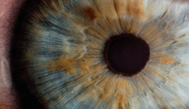 Photographiez l’œil, exposez votre vision : participez au concours du CoC 2026