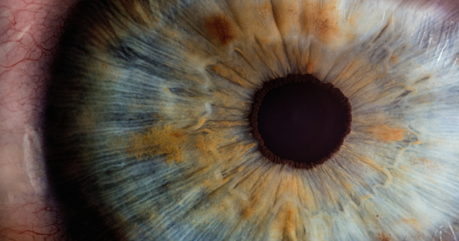 Photographiez l’œil, exposez votre vision : participez au concours du CoC 2026