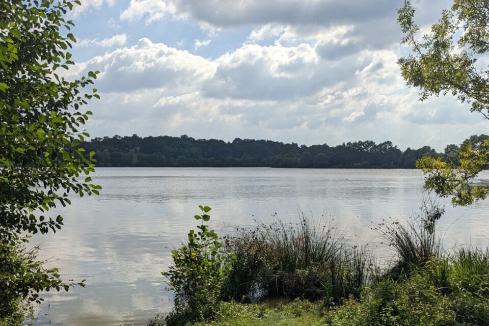 Le lac de Beaulieu à Couëron est le plus grand lac de l'agglomération nantaise.