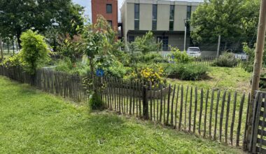 Toulouse. Pour rafraîchir les écoles, 18 nouvelles cours oasis aménagées cet été : voici lesquelles