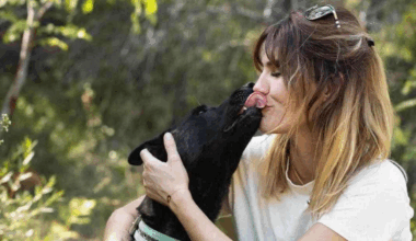 retour sur l'affaire du chien Smoke, condamné à l'euthanasie