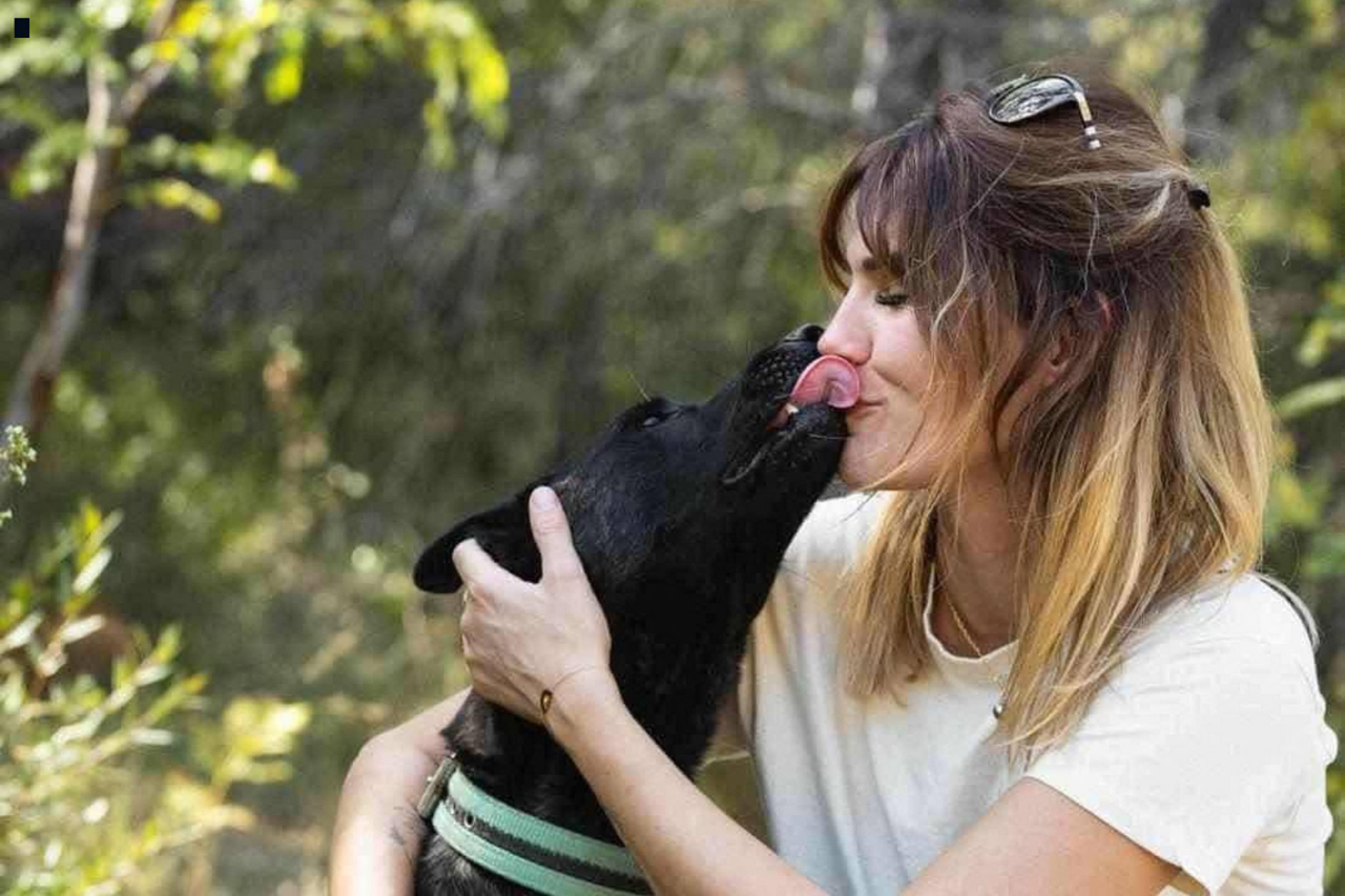 retour sur l'affaire du chien Smoke, condamné à l'euthanasie