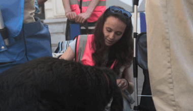 Gamelles Pleines nourrit le lien entre humains et animaux dans la rue