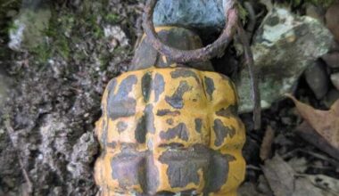 ils découvrent une grenade d’avant-guerre sur un sentier forestier