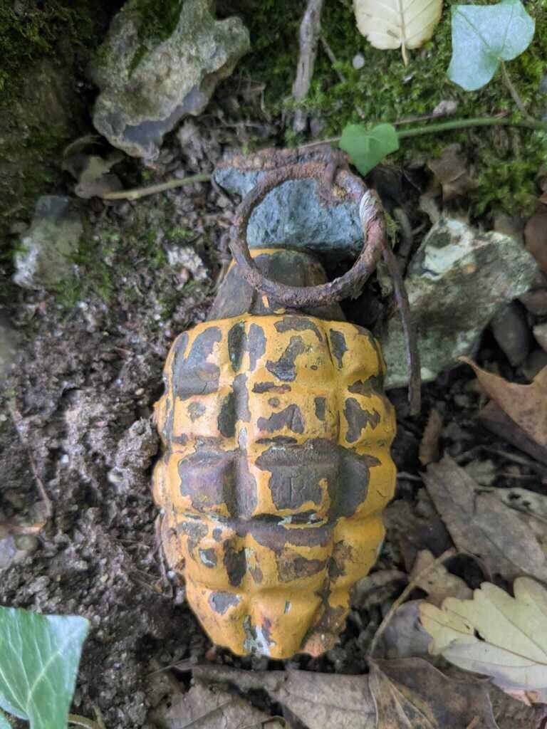 ils découvrent une grenade d’avant-guerre sur un sentier forestier