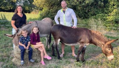 De Vertou à Clisson, cette famille a passé une semaine de vacances en autonomie avec... des ânes