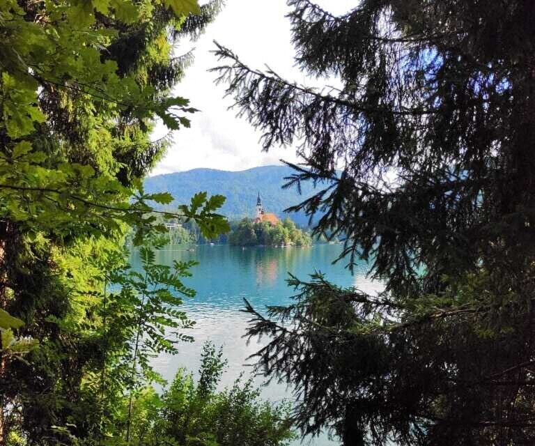 Carte postale du séjour : le lac de Bled en Slovénie