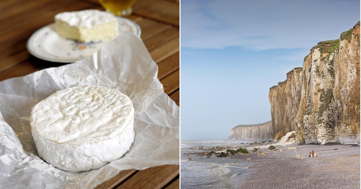 Marre de “griller à point au soleil” ? La Normandie a tout pour vous plaire