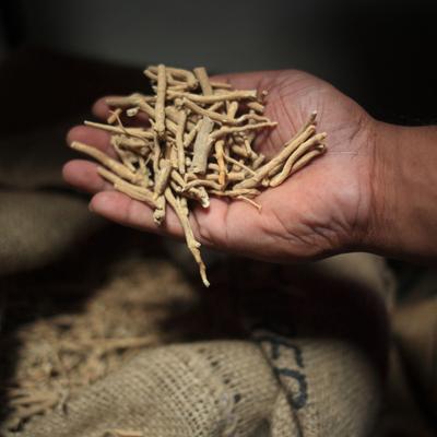 Ashwagandha : alliée contre le stress ou faux remède miracle ?