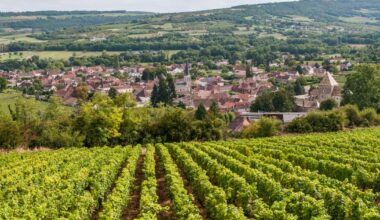 Ces 15 vins rouges de Bourgogne époustouflants et pourtant encore accessibles