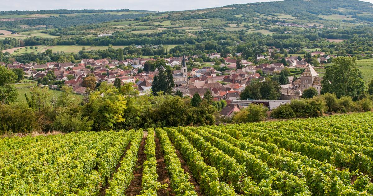 Ces 15 vins rouges de Bourgogne époustouflants et pourtant encore accessibles