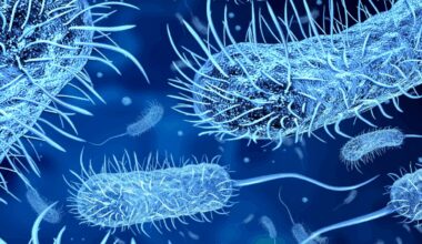 L’IA crée de nouveaux antibiotiques capables de tuer les superbactéries
