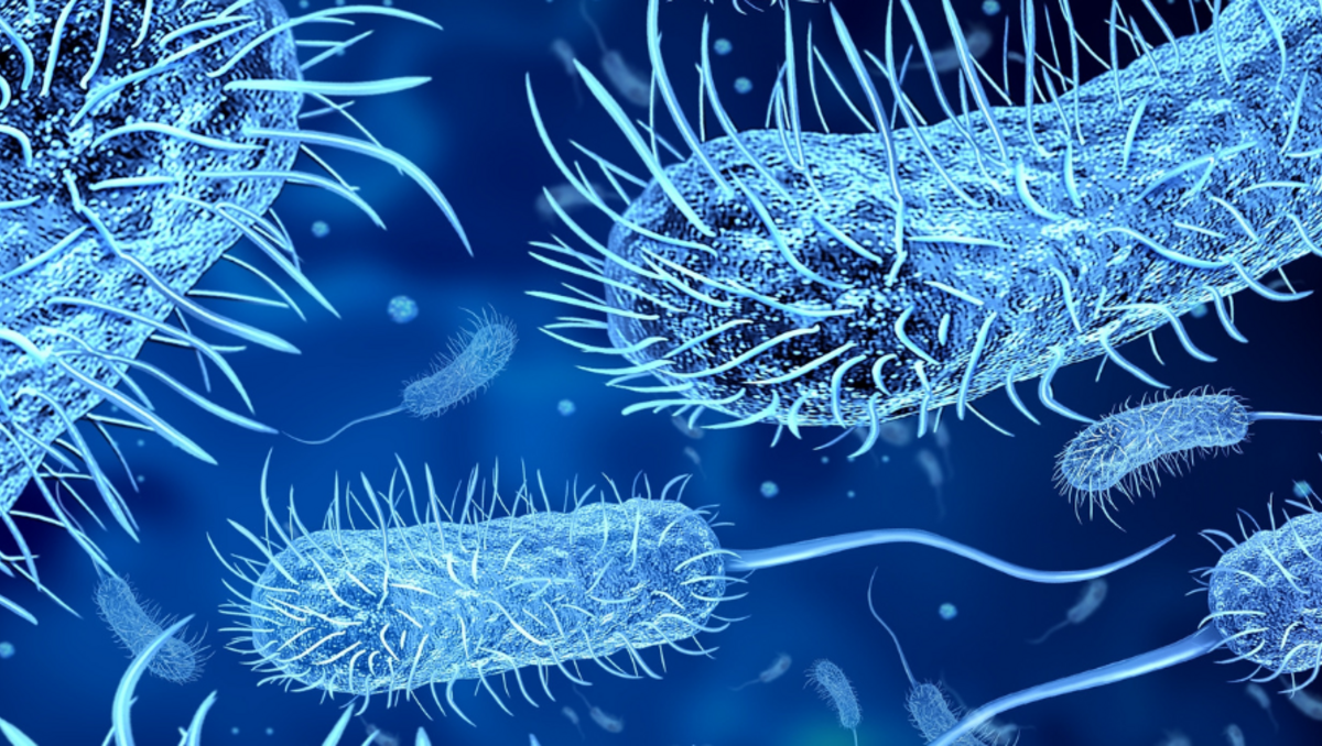 L’IA crée de nouveaux antibiotiques capables de tuer les superbactéries