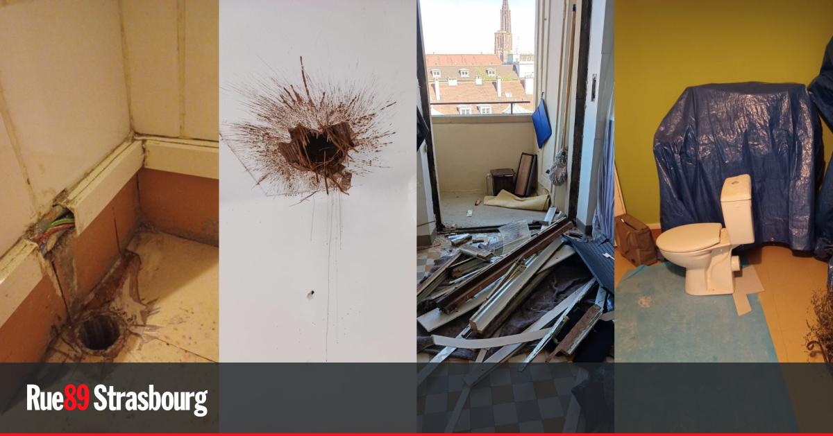 Strasbourg. Un collectif d’habitants attaque leur bailleur social Domial