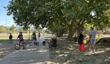 Les chiens prennent-ils trop de libertés au parc du Bocage à Plan-de-Cuques ?