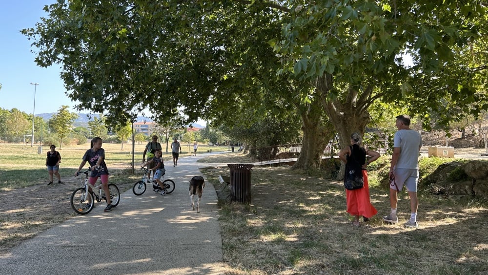 Les chiens prennent-ils trop de libertés au parc du Bocage à Plan-de-Cuques ?