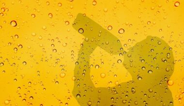 Perrier, San pellegrino, Rozana... quelle est la meilleure eau pétillante pour la santé ? Un diététicien-nutritionniste répond