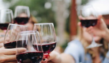 Droits de douane : l’UE ne parvient pas à protéger le vin français