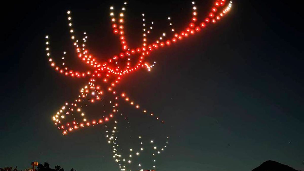 Plusieurs animaux prendront vie le temps du spectacle - DroneArt Show