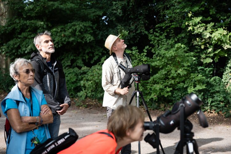 LPO balade nature ville oiseau oiseaux ornithologie observation faune orangerie