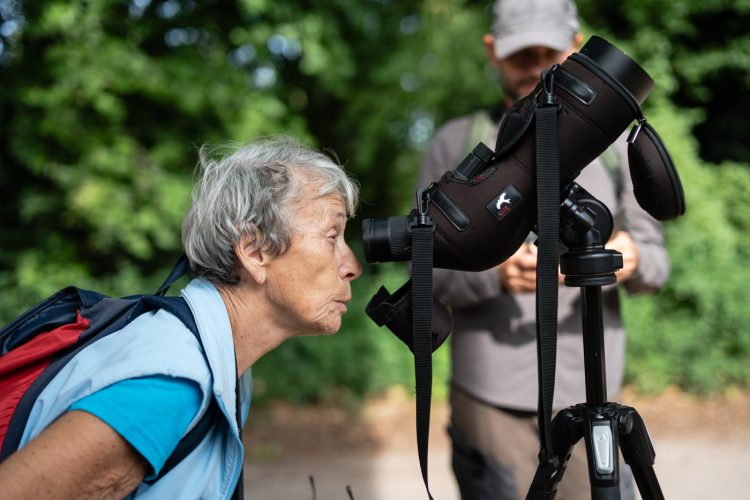 LPO balade nature ville oiseau oiseaux ornithologie observation faune orangerie