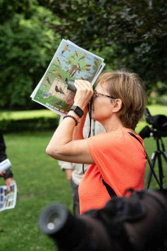 LPO balade nature ville oiseau oiseaux ornithologie observation faune orangerie