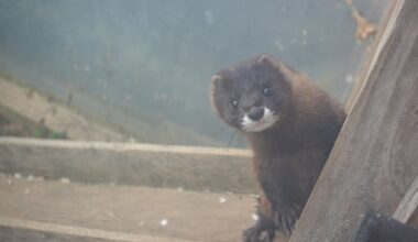 un espoir pour la biodiversité