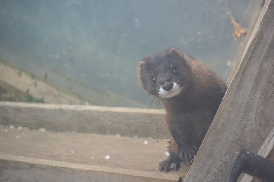 un espoir pour la biodiversité
