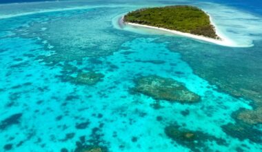 En Australie, la Grande Barrière de corail enregistre le plus grand blanchissement de son histoire