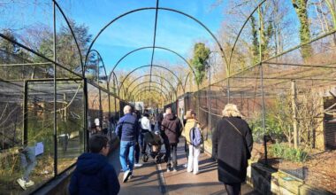 Deux nouveaux animaux imposants ont fait leur arrivée au zoo de Lille