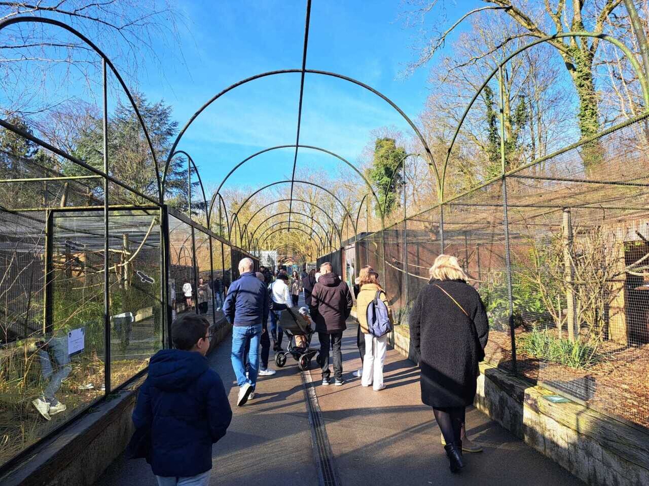 Deux nouveaux animaux imposants ont fait leur arrivée au zoo de Lille