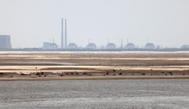 l’administration russe affirme avoir maîtrisé un incendie qui s’était déclenché près de la centrale de Zaporijia après un bombardement