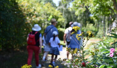 Ateliers créatifs, brocante, concerts… Profitez du beau temps à Rennes ce week-end : voici 10 idées sorties