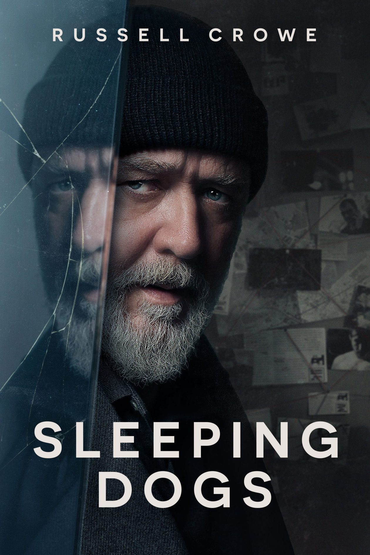 Sleeping Dogs critique affiche