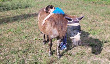 Burn-out, épisode dépressif... découvrez l'equicoaching, cette pratique où le cheval vous révèle à vous-même