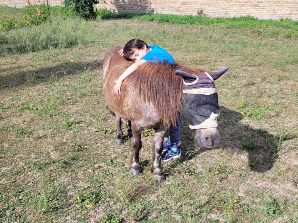 Burn-out, épisode dépressif... découvrez l'equicoaching, cette pratique où le cheval vous révèle à vous-même