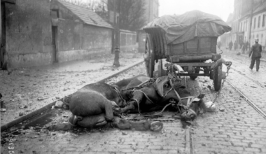 En 1916, Saint-Denis se réveillait en ruines après l'explosion d'un dépôt de munitions
