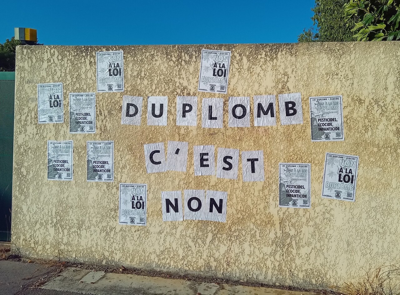 Extinction Rebellion et les Soulèvements de la Terre collent la loi Duplomb