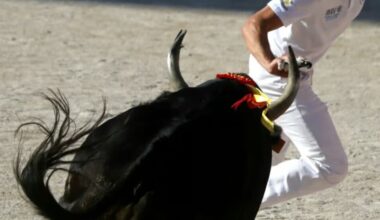 Fusain (Reimonen), Leal et Laurier remportent le Trophée de la Garrigue au Crès (Avenir)