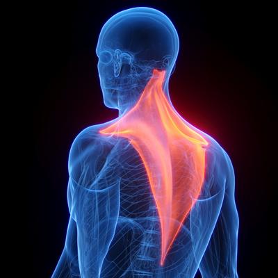 Migraines à répétition ? Votre cou est peut-être le coupable