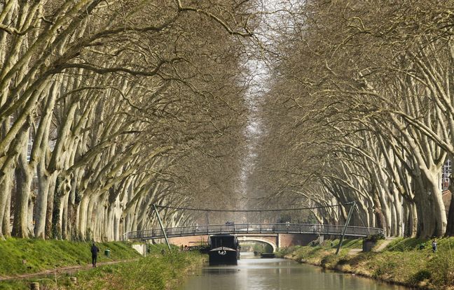 Nouvelle noyade dans le Canal du Midi, un sexagénaire retrouvé mort