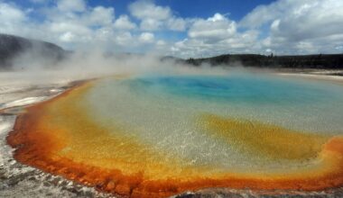 Comment la vie a-t-elle commencé à proliférer sur Terre ?