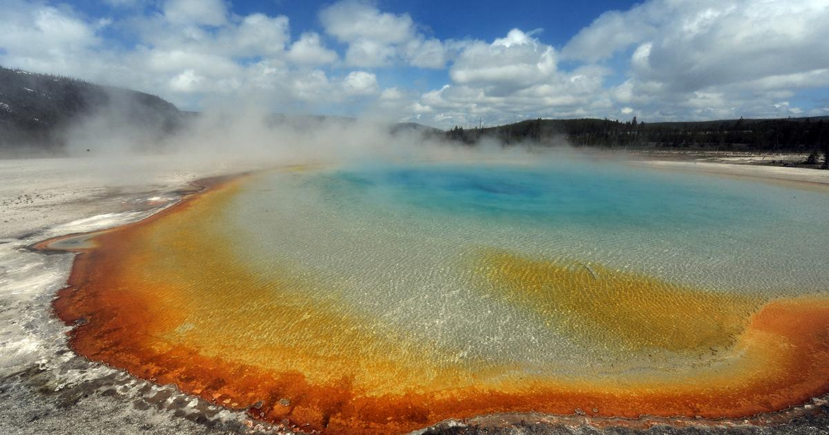 Comment la vie a-t-elle commencé à proliférer sur Terre ?